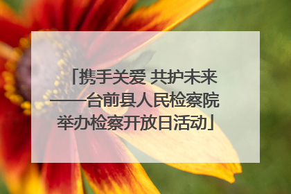 携手关爱 共护未来——台前县人民检察院举办检察开放日活动