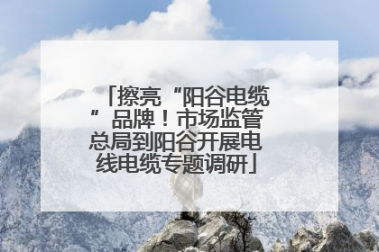 擦亮“阳谷电缆”品牌！市场监管总局到阳谷开展电线电缆专题调研