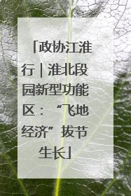 政协江淮行｜淮北段园新型功能区：“飞地经济”拔节生长