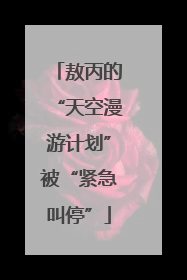 敖丙的“天空漫游计划”被“紧急叫停”