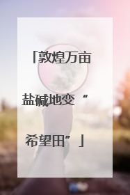 敦煌万亩盐碱地变“希望田”
