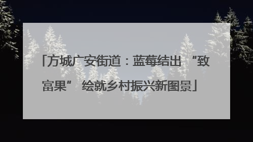 方城广安街道：蓝莓结出 “致富果” 绘就乡村振兴新图景