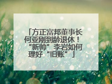 方正富邦董事长何亚刚到龄退休！“新帅”李岩如何理好“旧账”