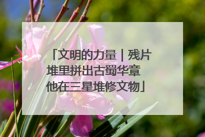 文明的力量｜残片堆里拼出古蜀华章 他在三星堆修文物