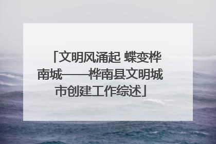 文明风涌起 蝶变桦南城——桦南县文明城市创建工作综述