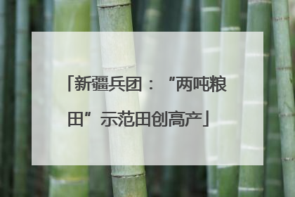 新疆兵团：“两吨粮田”示范田创高产