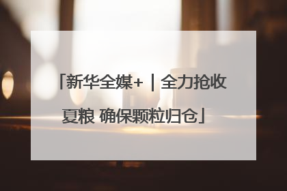 新华全媒+｜全力抢收夏粮 确保颗粒归仓