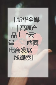 新华全媒+｜高原产品上“云”端——西藏电商发展一线观察