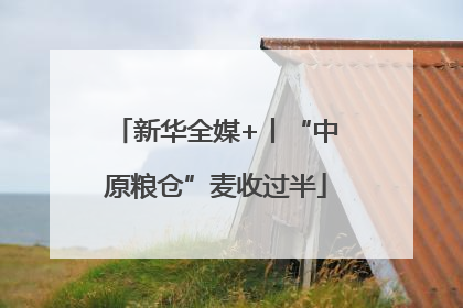 新华全媒+丨“中原粮仓”麦收过半