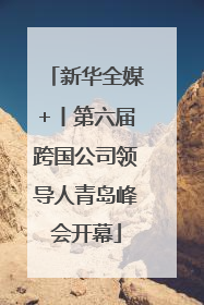 新华全媒+丨第六届跨国公司领导人青岛峰会开幕