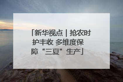 新华视点｜抢农时 护丰收 多维度保障“三夏”生产