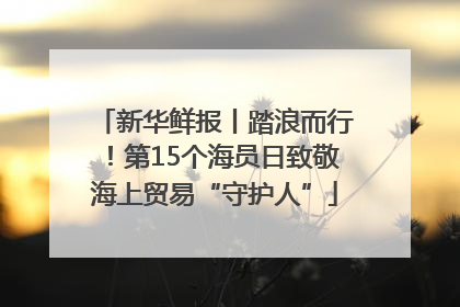 新华鲜报丨踏浪而行！第15个海员日致敬海上贸易“守护人”