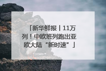 新华鲜报丨11万列！中欧班列跑出亚欧大陆“新时速”