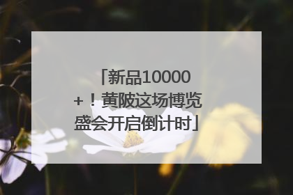 新品10000+！黄陂这场博览盛会开启倒计时