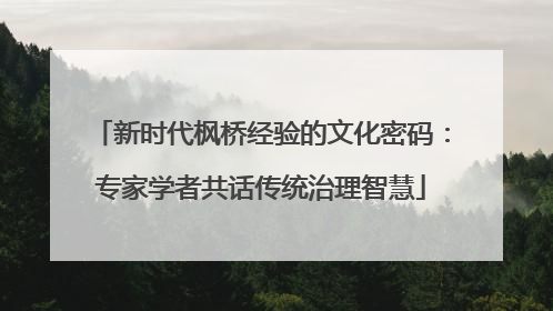 新时代枫桥经验的文化密码：专家学者共话传统治理智慧