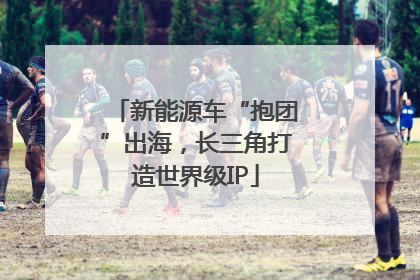 新能源车“抱团”出海，长三角打造世界级IP