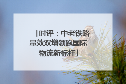 时评：中老铁路量效双增领跑国际物流新标杆