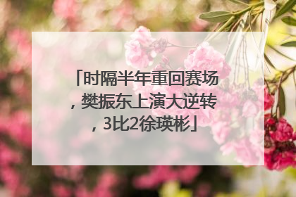 时隔半年重回赛场，樊振东上演大逆转，3比2徐瑛彬