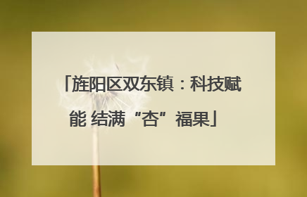 旌阳区双东镇：科技赋能 结满“杏”福果