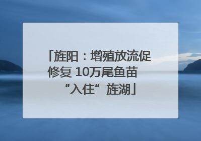 旌阳：增殖放流促修复 10万尾鱼苗“入住”旌湖