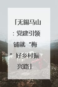 无锡马山：党建引领 铺就“梅”好乡村振兴路