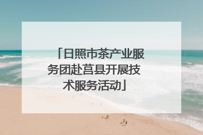 日照市茶产业服务团赴莒县开展技术服务活动