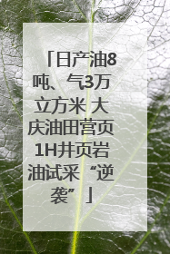 日产油8吨、气3万立方米 大庆油田营页1H井页岩油试采“逆袭”