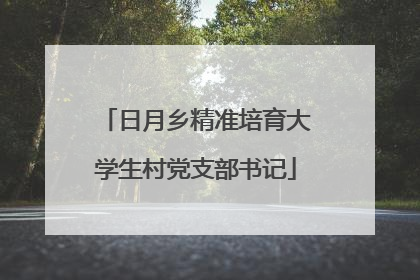 日月乡精准培育大学生村党支部书记