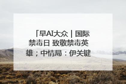 早AI大众｜国际禁毒日 致敬禁毒英雄；中情局：伊关键核设施被摧毁