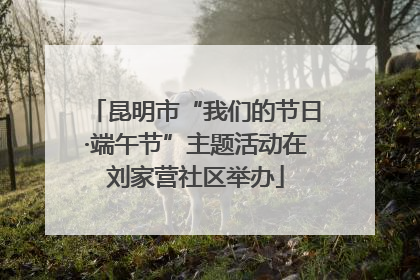 昆明市“我们的节日·端午节”主题活动在刘家营社区举办