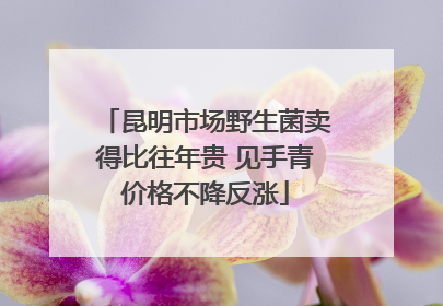 昆明市场野生菌卖得比往年贵 见手青价格不降反涨