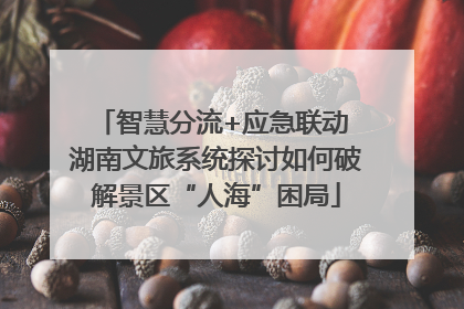 智慧分流+应急联动 湖南文旅系统探讨如何破解景区“人海”困局