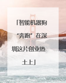 智能机器狗“奔跑”在深圳这片创业热土上