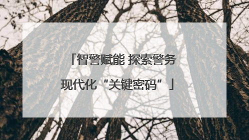 智警赋能 探索警务现代化“关键密码”