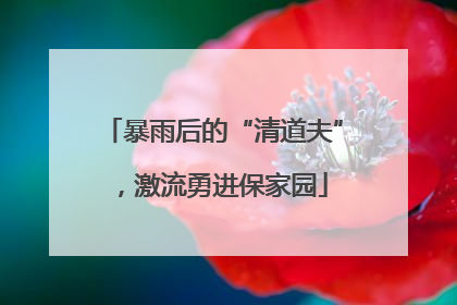 暴雨后的“清道夫”，激流勇进保家园