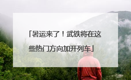 暑运来了！武铁将在这些热门方向加开列车