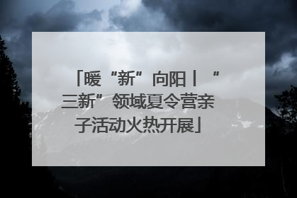 暖“新”向阳丨“三新”领域夏令营亲子活动火热开展