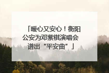 暖心又安心！衡阳公安为邓紫棋演唱会谱出“平安曲”