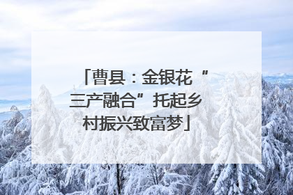 曹县：金银花“三产融合”托起乡村振兴致富梦