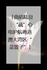 曲靖陆良：“蔬”心电护航粤港澳大湾区“菜篮子”