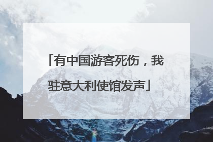 有中国游客死伤，我驻意大利使馆发声