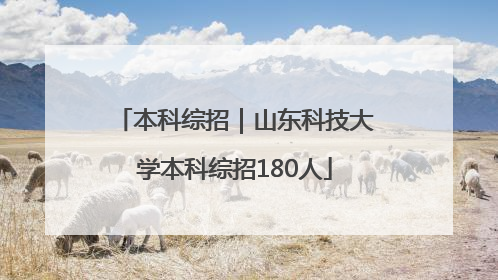 本科综招｜山东科技大学本科综招180人