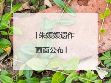朱媛媛遗作画面公布