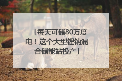 每天可储80万度电！这个大型锂钠混合储能站投产