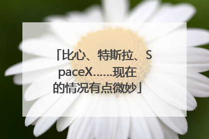 比心、特斯拉、SpaceX……现在的情况有点微妙