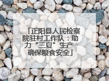 正阳县人民检察院驻村工作队：助力“三夏”生产 确保粮食安全