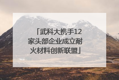 武科大携手12家头部企业成立耐火材料创新联盟