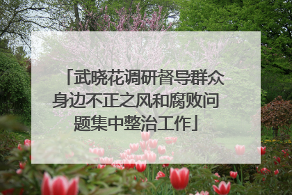 武晓花调研督导群众身边不正之风和腐败问题集中整治工作