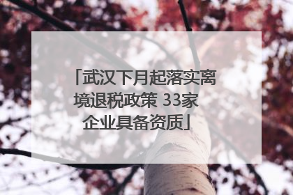 武汉下月起落实离境退税政策 33家企业具备资质