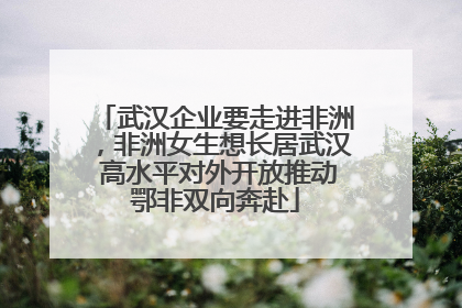 武汉企业要走进非洲，非洲女生想长居武汉 高水平对外开放推动鄂非双向奔赴